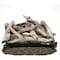 Bluegrass Living Vent Free Dual Fuel Log Set, 24 in Drift Wood, 33,000 BTU, Remote Control B24DR-ES2 - alternate 5