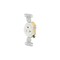 Hubbell Wiring 20 Amp 125-Volt Single Self Ground Receptacle, White RR201W - alternate 2