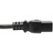 Eaton Tripp Lite Series Computer Power Cord, C19 to NEMA 5-15P - Heavy-Duty, 15A, 125V, 14 AWG, 10 ft. P034-010 - alternate 2