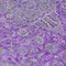 Homeroots 8' Purple And Gray Round Medallion Washable Indoor Outdoor Area Rug 616294 - alternate 8