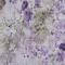 Homeroots 9' X 12' Purple Lavender And Artichoke Green Floral Washable Indoor Outdoor Area Rug 583128 - alternate 9