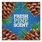 Pine-Sol CloroxPro Multi-Surface Cleaner Disinfectant Concentrated, Original Pine Scent, 80 oz Bottle, 3PK 60606CT - alternate 10