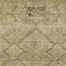 Homeroots 8' X 10' Brown Beige And Artichoke Green Floral Washable Indoor Outdoor Area Rug 588885 - alternate 7
