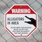 Signmission Warning Alligators in Area Do Not S, 10 inch X 10 inch, Aluminum Metal Signs, 2PK OC-A-2PACK-10-339 - alternate 6