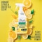 Mean Green Ready To Use Multi-Purpose Cleaner Spray, Citrus and Green Tea, 32 oz 394133 - alternate 8