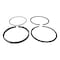 Cnh RING PISTON, CNH OEM A41967 A41967 - alternate 3