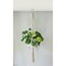 National Hardware Made By Me Plant Hanger Kit N900-013 - alternate 3