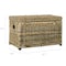 Happimess Elijah 30.7in Wicker Storage Trunk, Natural HPM9002B - alternate 8
