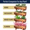 Kings County Tools Copper Window Planter Box for Indoor & Outdoor Use Large Rectangle Flower Pots Outdoor Planters GW86A09-08 - alternate 10