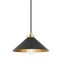 Hudson Valley Lighting Mark D. Sikes X Clivedon 1 Light Pendant 12 In. Aged Brass/Distressed Bronze MDS1401-AGB/DB - alternate 1
