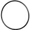 Timken O-RING 253PKG - alternate 1