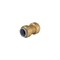 Proline Series 3/4-in PF x PB Brass Push Fit Coupling 6637-004 - alternate 1