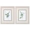 Homeroots Set Of Two Sprigs in Green White Framed Print Wall Art, 2PK 484151 - alternate 1