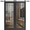 Sartodoors Sturdy Double Barn Door with Clear Glass, Lucia 2266 Matte Black and Aluminum Strips, 13FT Rail Ha LUCIA2266DB-BLK-64 x 96 (2* 32x96) - alternate 1