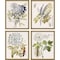 Homeroots Set Of Four Lacy Leaves Gold Framed Print Wall Art, 4PK 416475 - alternate 1