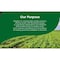 Knorr Pesto Sauce Mix Side Meal Sauce, 0.5 Ounce, 24PK 67727404 - alternate 9