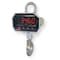 Rice Lake Weighing Systems Crane Scale, Digital, 9 in. L, LED MSI-3460-2000 - alternate 1