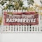 Signmission Farm Fresh Raspberries, 18 Inch x 48 Inch, Vinyl Banner B-30614 - alternate 5