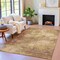 Homeroots 8' X 10' Copper And Ivory Abstract Washable Indoor Outdoor Area Rug 630624 - alternate 7