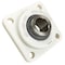 Edt FLANGEANGE BLOCK BEARING NA4GD4-1-1/4 - alternate 3