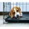 Floortex P-Tex Polycarbonate Dog Crate Floor Protector - 35" x 47" FCCAGE89ER - alternate 1
