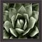 Homeroots Green Succulent II Brown Framed Print Wall Art 527046 - alternate 1
