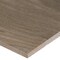 Msi Carolina Timber Beige Sample  Matte Porcelain Floor And Wall Tile ZOR-PT-0874-SAM - alternate 11