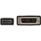 Tripp Lite 10FT DISPLAYPORT DVI-D CABLE ADAPTER M/M P581-010 - alternate 6