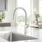 Blanco Rivana Pull Down 1.5 gpm, Stainless 442678 - alternate 9