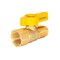 Brasscraft Gas Ball Valve, 1/2 in Connection, Flared x FIP, 5 psi Pressure, Brass Body PSSD-41 - alternate 7
