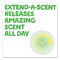 Gain Cleaners & Detergents, 14.8 oz Canister, Powder, GainÂ® Original 85680 - alternate 11