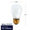 Bulbrite Pack of 12 40 Watt Dimmable Frost Tough Coat A15 Medium E26 Incandescent Bulb, 12PK 860862 - alternate 11