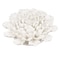 Homeroots 9" Off White Ceramic Flower Hanging Dimensional Sculpture 401280 - alternate 7