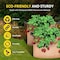 Ipower Plant Grow Bag 10 Gallon Heavy Duty Fabric Pots, 300g Thick Nonwoven, Tan 2024 Version, 6PK GLGROWBAG10X6TAN - alternate 6