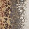 Homeroots 10' X 14' Ivory Gray And Gold Abstract Washable Indoor Outdoor Area Rug 582529 - alternate 8
