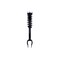 Fcs Struts Suspension Strut And Coil Spring Assembly 1355181 - alternate 1