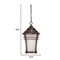 Homeroots Frosted Glass Bronze Lantern Hanging Light 397985 - alternate 5