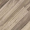 Msi Carolina Timber Beige Sample Matte Porcelain Floor And Wall Tile ZOR-PT-0873-SAM - alternate 11