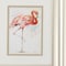 Homeroots 10" X 12" Champagne Gold Color Frame Pink Showoff, Set Of 2, 2PK 365108 - alternate 4