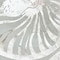 Homeroots Set Of Two Nautilus Shell Distressed White Framed Wall Art, 2PK 653906 - alternate 5