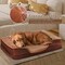 Fluffydream 28in Medium Orthopedic Egg-Crate Memory Foam Dog Bed Dog Bed, Pet Sofa with Washable Re 3A88PTDBEDSOFA28BRN - alternate 5