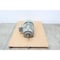 Tatung SUPER-MAX MOTOR 256T 20HP 3510RPM 230/460V-AC 3PH WH0202FFAC - alternate 1
