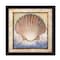 Homeroots Shell Black Framed Print Wall Art 404898 - alternate 1