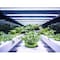 Feit Electric Feit Plug & Play T8 and T12 Blue 48 in. G13 Linear LED Bulb 20 Watt Equivalence 1 pk T48/GROW/LED - alternate 10