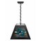 Holland Bar Stool San Jose Sharks Pendant Box Light BxLM1 - alternate 1