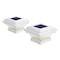Home Zone Security Outdoor Solar Post Cap Lights for 3.5'' x 3.5'' and 4'' x 4'' Posts, White, 2PK ELI1243G - alternate 1