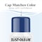 Rust-Oleum Low Odor Water Based Spray Paint, Blueberry, Gloss, 11 oz 388272 - alternate 10