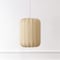 Jonathan Y Aurelia 13.75" 1-Light Scandinavian Japandi Adjustable Lantern Metal w/Ribbed Cocoon Capsule Shade L JYL4207A - alternate 11