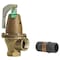 Watts Relief valve 1 1/4 174A 150 FS - alternate 1