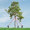 Master Mark Heavy-Duty Plastic Tree Stake Kit 80333 - alternate 7